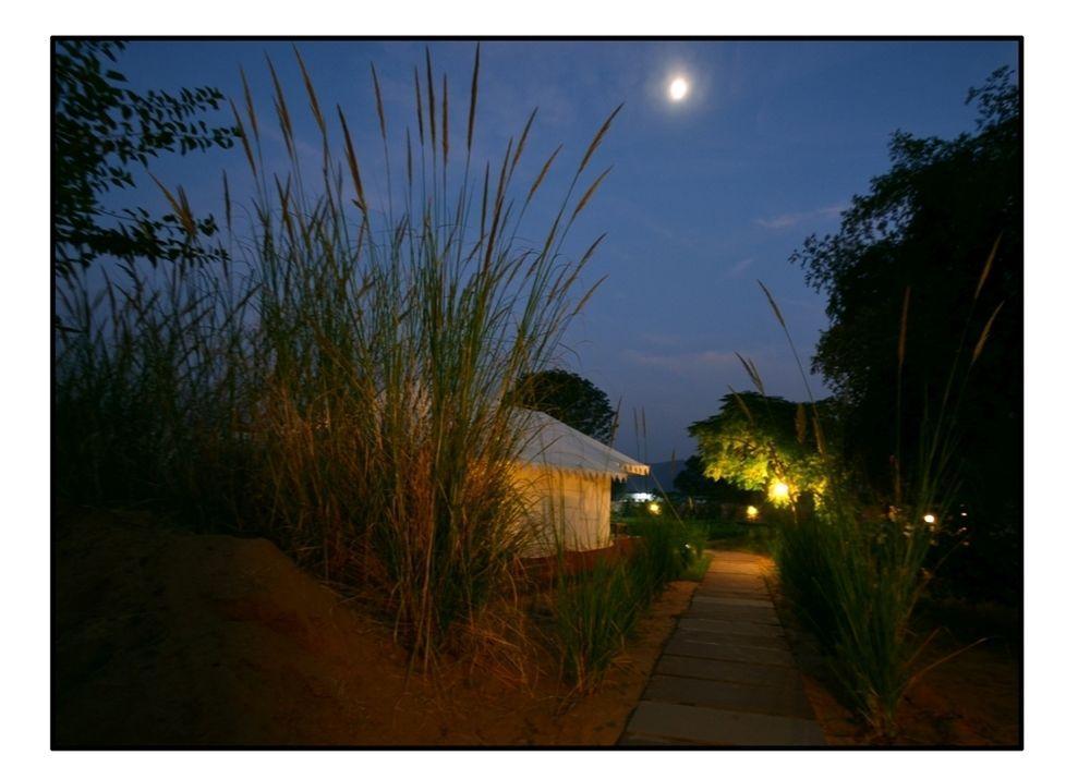 The Shergarh Sawai Madhopur Exteriér fotografie